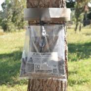 Ecopiege Transparent