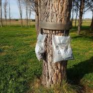 descente supplemtaire transparent